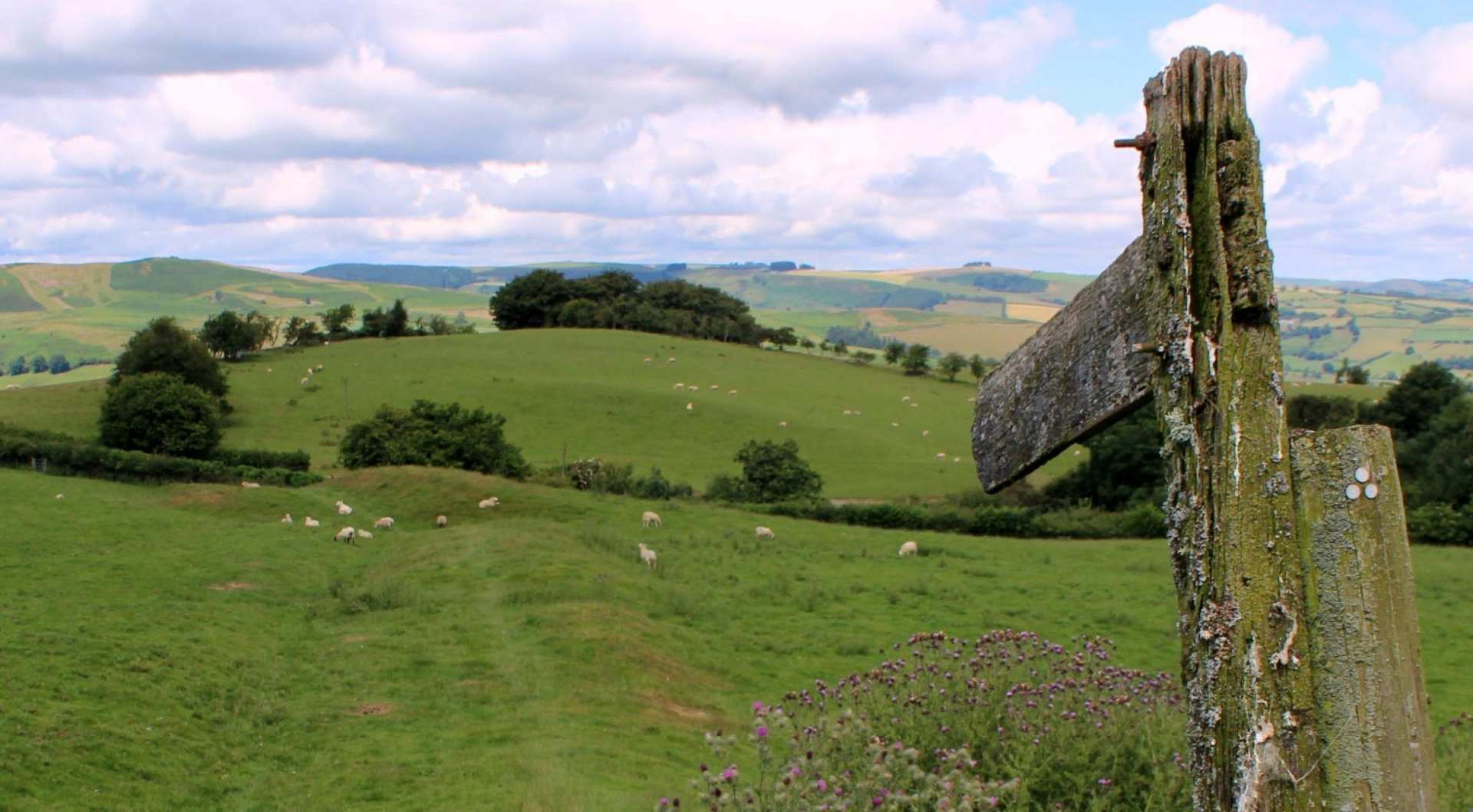 Offa's Dyke Path - South Section